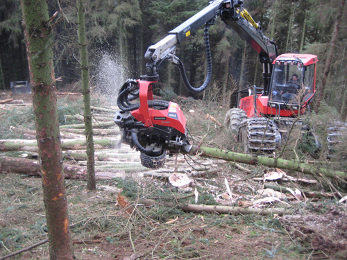 Tree Cutting