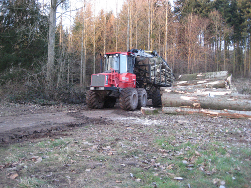 Stump Collection